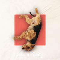 ANOTHER VISION - Off The Leash [12"EP+CD]